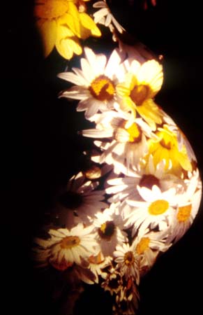 ky-flower_vase01-r